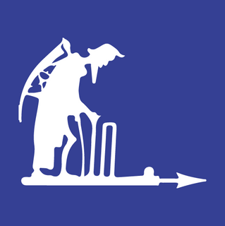 Hutt District Cricket Club DIY Stump Wraps