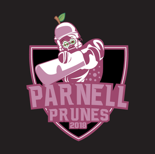 Parnell Cricket Club Prunes DIY Stump Wraps